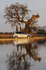 Seat Altea 2009 года